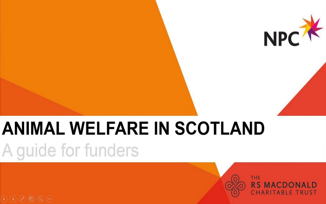 Animal Welfare in Scotland: A Guide for funders